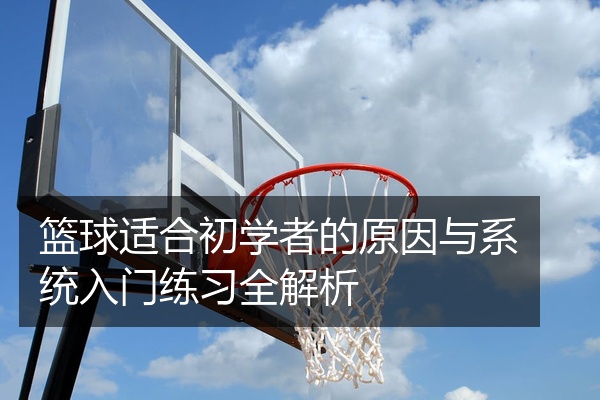 篮球适合初学者的原因与系统入门练习全解析